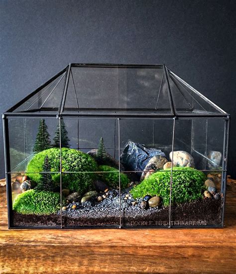 metal and glass house terrarium|small geometric glass terrarium.